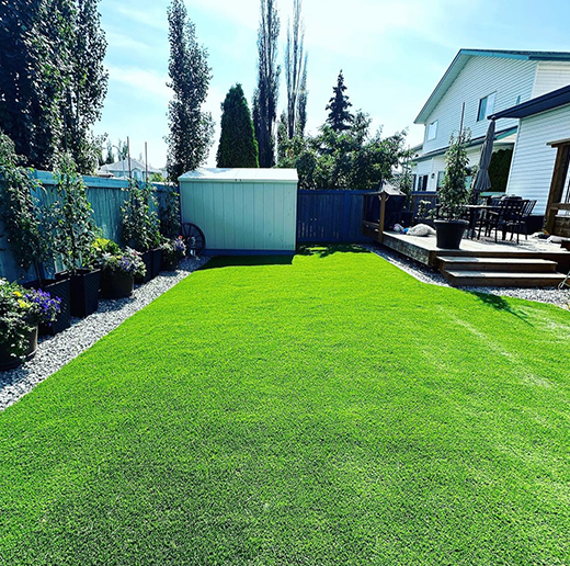 Artificial Turf